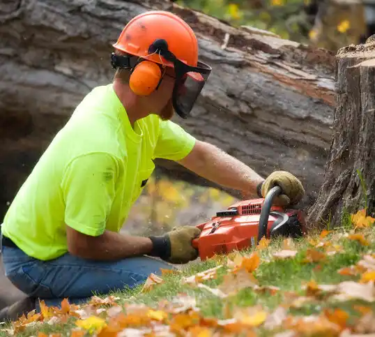 tree services Ogden